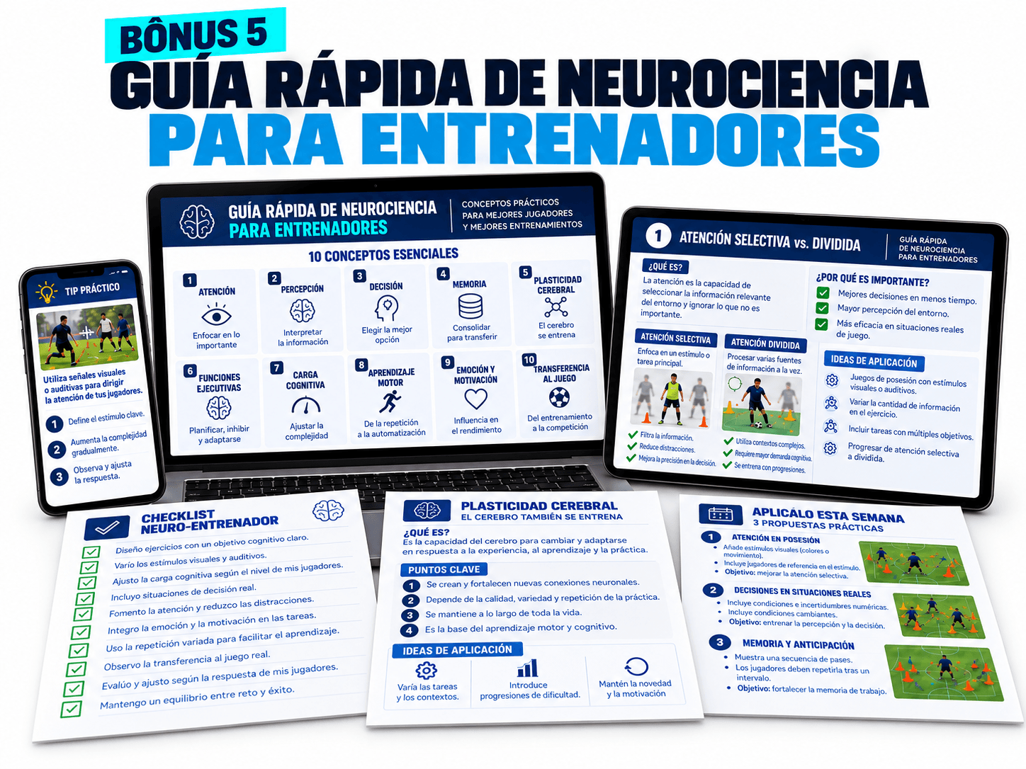 Guía Rápida de Neurociencia para Entrenadores